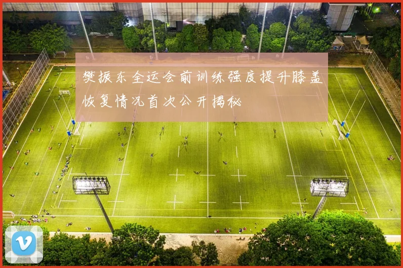 樊振东全运会前训练强度提升膝盖恢复情况首次公开揭秘